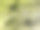 用苔藓覆盖的混凝土作为纹理或背景。图片下载