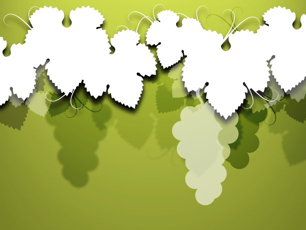 葡萄架子上的背景。图片下载