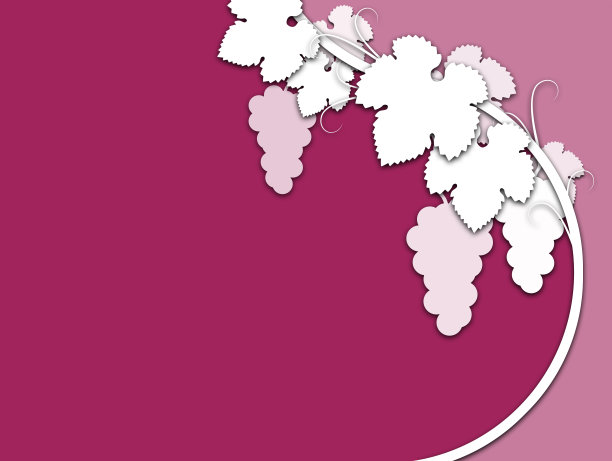 葡萄架子上的背景。图片下载