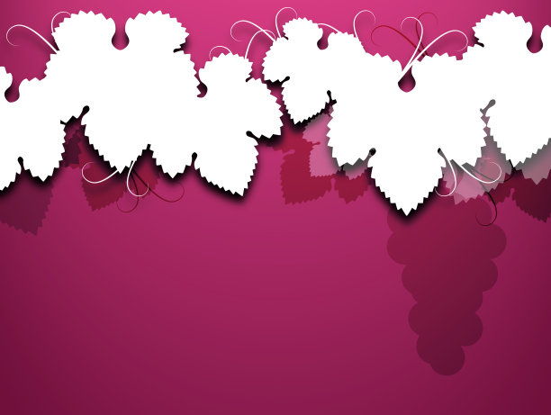 葡萄架子上的背景。图片下载