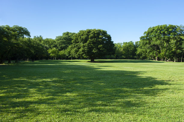 格林公园图片下载