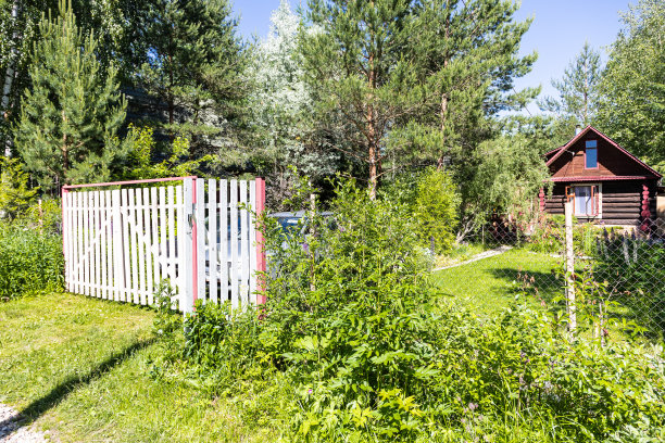 度假村的木门和绿色庭院图片下载