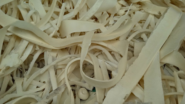 对环境有害且难以分解的海绵废弃物图片下载