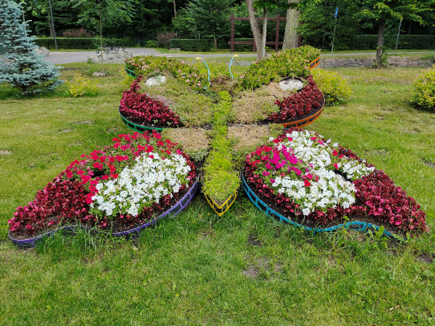 一个各种颜色的花坛，以蝴蝶昆虫的形式为整个框架图片下载