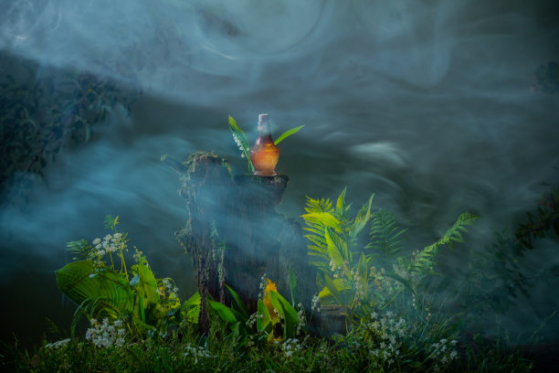 魔法森林里的一瓶魔法药水图片下载