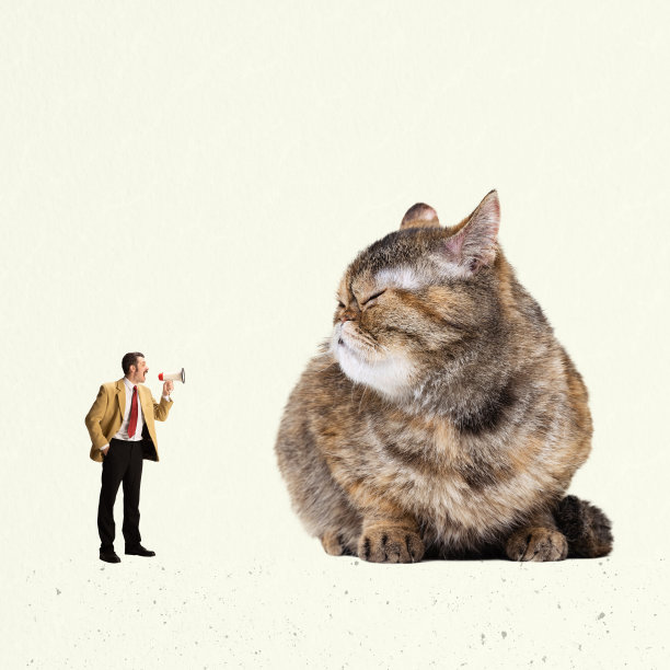 当代艺术拼贴。创意设计。穿着正式服装的商人用扩音器对着一只大猫大喊大叫。专业控制图片下载