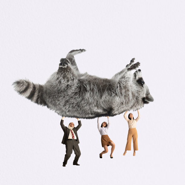 当代艺术拼贴。创意设计。员工、商人崛起的大浣熊象征着职业的成长和成功图片下载