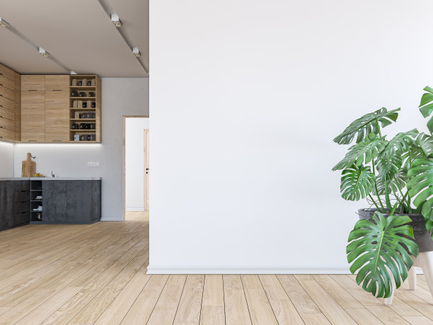 空荡荡的客厅里有一面大灰泥墙，背景是一间现代化的厨房图片下载