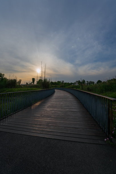 黄昏的道路和树木图片下载