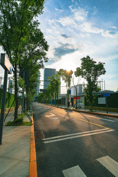 黄昏的道路和树木图片下载
