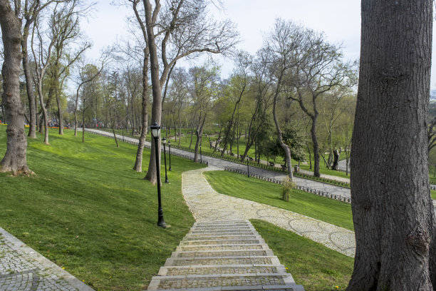 人行道，草坪，树木图片下载