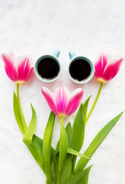 两杯咖啡，三朵漂亮的粉色郁金香图片下载