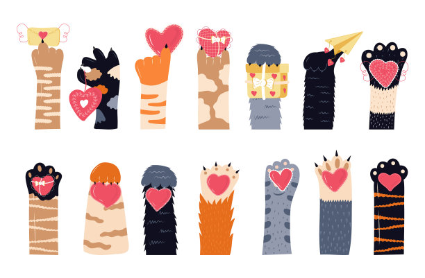 心和猫爪把宠物的脚放在手里图片下载