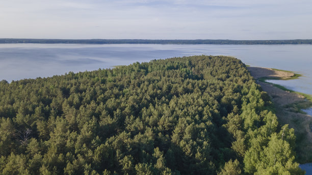 航拍森林在湖边和水库湖与天空反射水。自然背景。图片下载