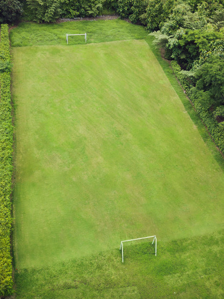 足球场的航拍照片。绿色的草。体育的概念和背景。图片下载