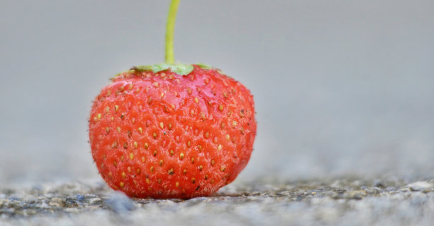 红色的成熟草莓图片下载