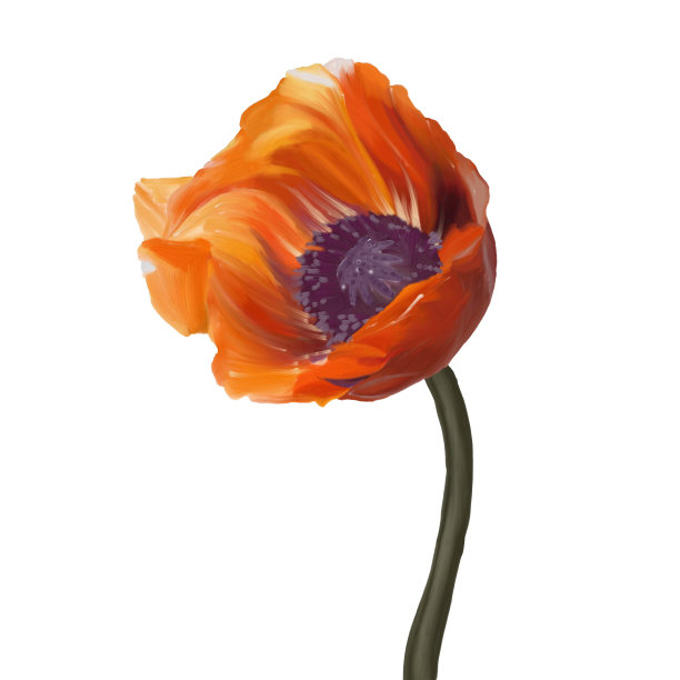 绿叶花与橙色花叶紫色芽图片下载