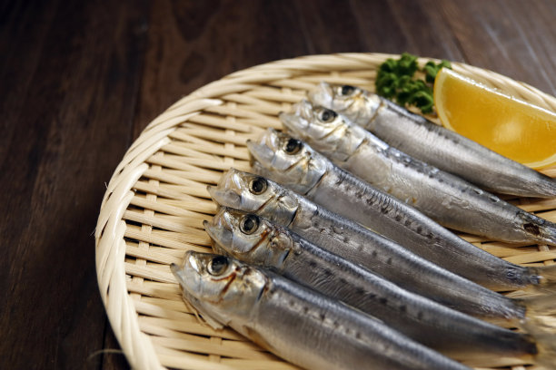 鱿鱼是餐桌上许多新鲜捕获的鱼的原料图片下载