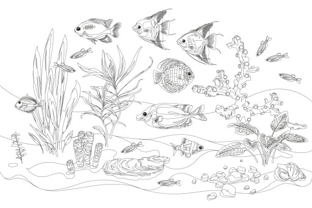 向量水族馆。奇异的鱼。线性卡通宠物为您设计。图片下载