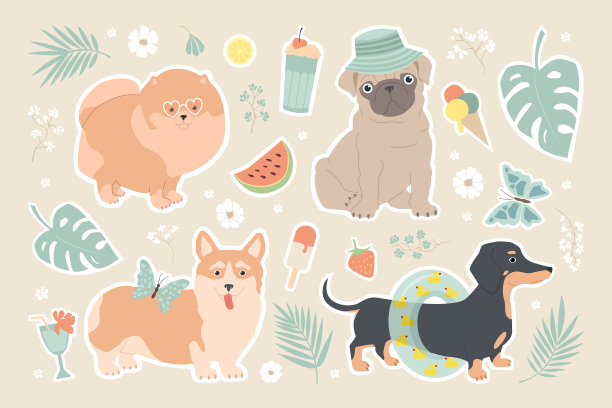 一套有狗的贴纸。夏天有趣的矢量插图的孩子。腊肠犬，博美，哈巴狗和柯基在暑假。棕榈叶、冰淇淋、西瓜、鸡尾酒、蝴蝶、鲜花。图片下载