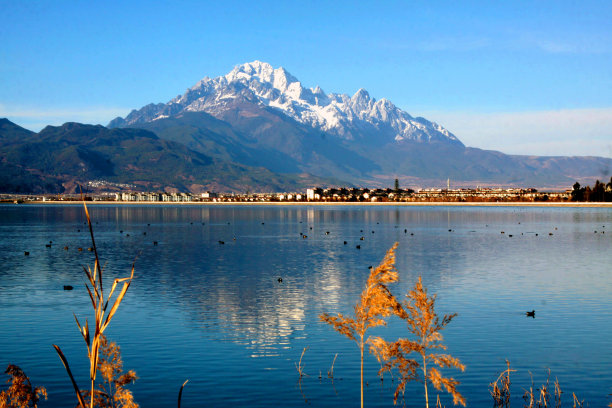 玉龙雪山和湖泊图片下载