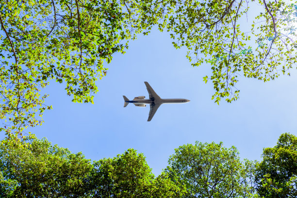 飞越森林树梢的飞机图片下载