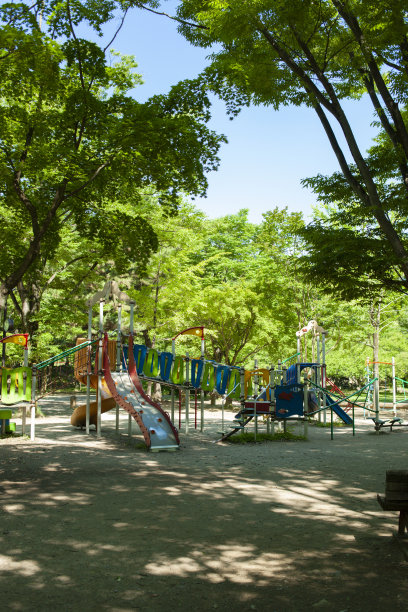 在公园里玩玩具图片下载