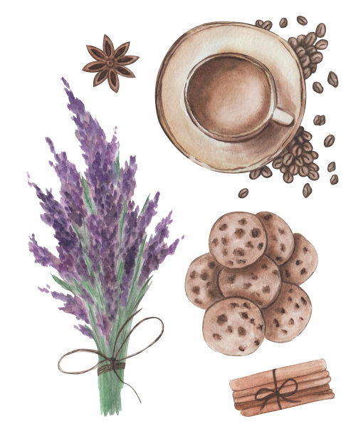 水彩插图手绘咖啡杯，卡布奇诺，烤咖啡豆，肉桂香料棒，饼干，八角星，薰衣草花。孤立的剪贴画，印刷，包装图片下载