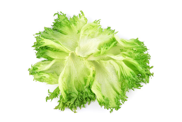 有褶边的卷心莴苣叶，白色，孤立图片下载