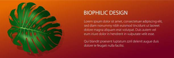 生态设计的横幅图片下载