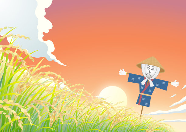 夕阳下的稻田图片下载