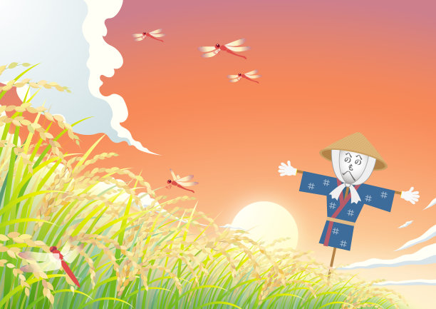 夕阳下的稻田图片下载