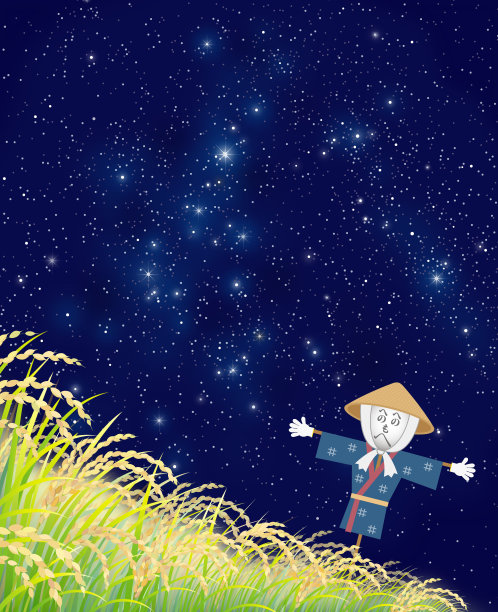 星空下的稻田图片下载