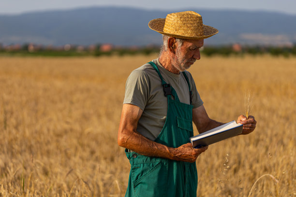 农民检查小麦图片下载