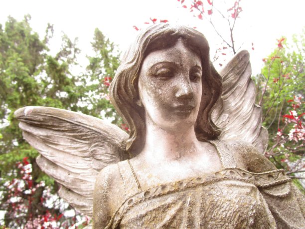 花园里的天使图片下载