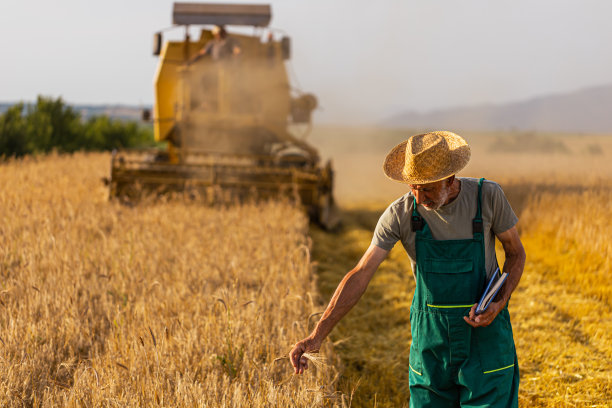 Farmer是一个魔术师图片下载