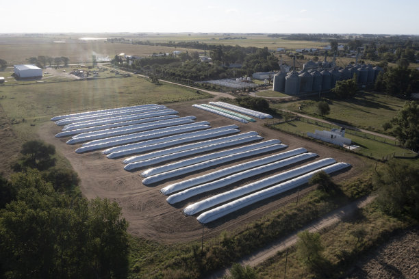 筒仓袋装满大豆，拉潘帕省，巴塔哥尼亚，阿根廷。图片下载