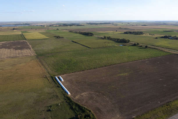 筒仓袋装满大豆，拉潘帕省，巴塔哥尼亚，阿根廷。图片下载