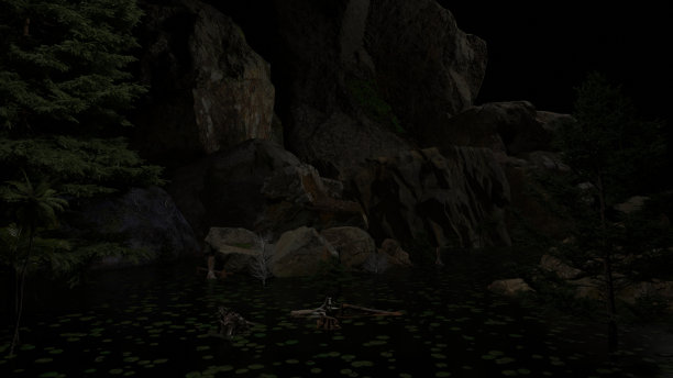 夜景中的山和莲花湖——森林景观图片下载