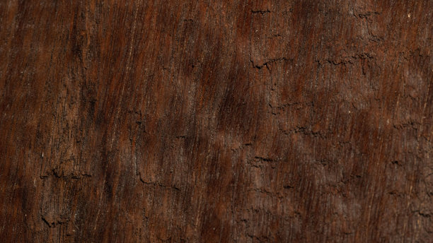 木材纹理在宏观的棕色与良好的细节。图片下载