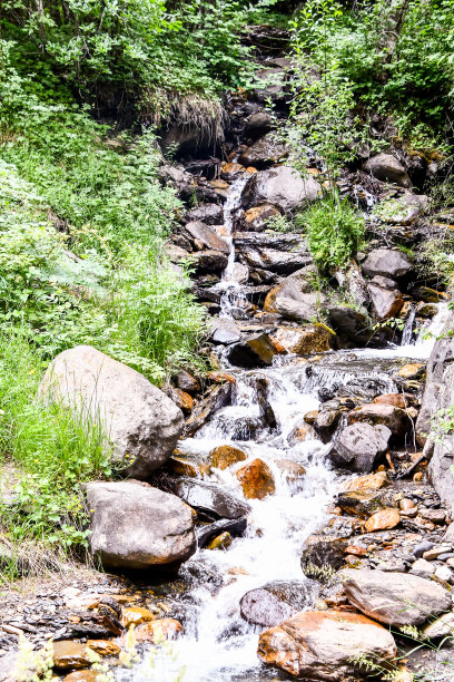 森林中的溪流，以照片为背景图片下载