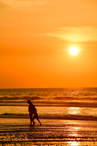 道路上的停车标志，照片作为背景图片下载