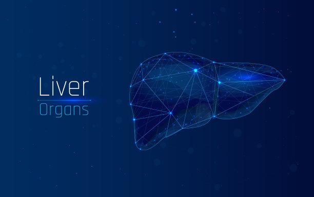 摘要健康人肝的mash line和point图片下载