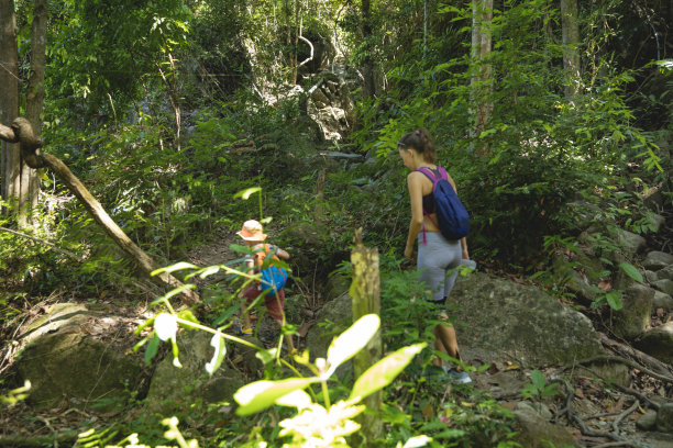 背包客在热带雨林图片下载