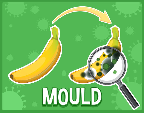 不能吃的腐烂发霉的香蕉图片下载