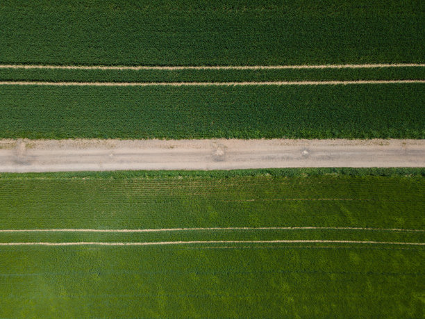春天，在绿色的麦田之间的砾石路鸟瞰图图片下载
