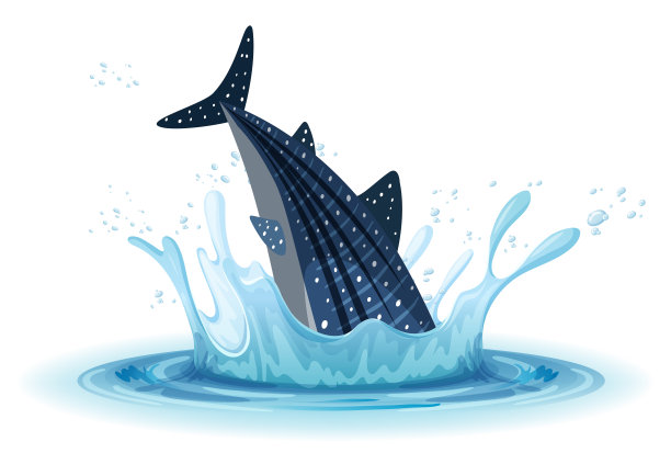白色背景的鲸鱼水花图片下载