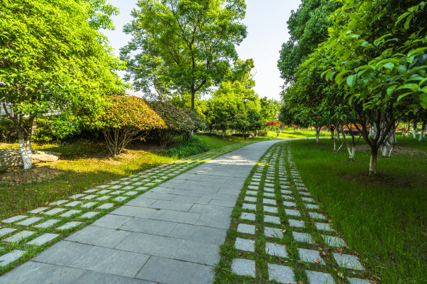 路与树木在美丽的花园。图片下载