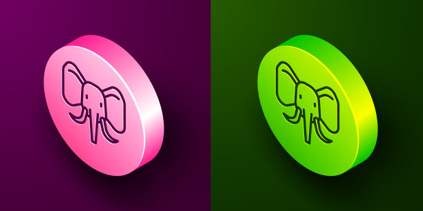 等距线大象图标孤立在紫色上图片下载