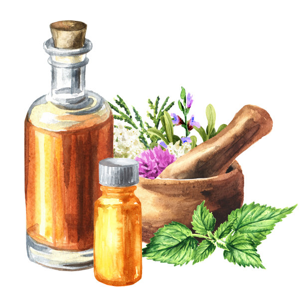 药用植物为草药自制有机酊剂。代医、采收草药。手绘水彩插图孤立在白色背景图片下载